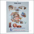 medical 3d poster, drugstore illustration medical chart